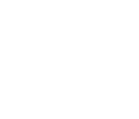 Remote Guarding