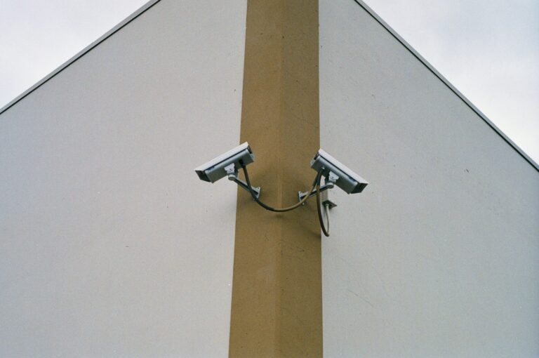 Why You Need Professional Security Services for Home and Business